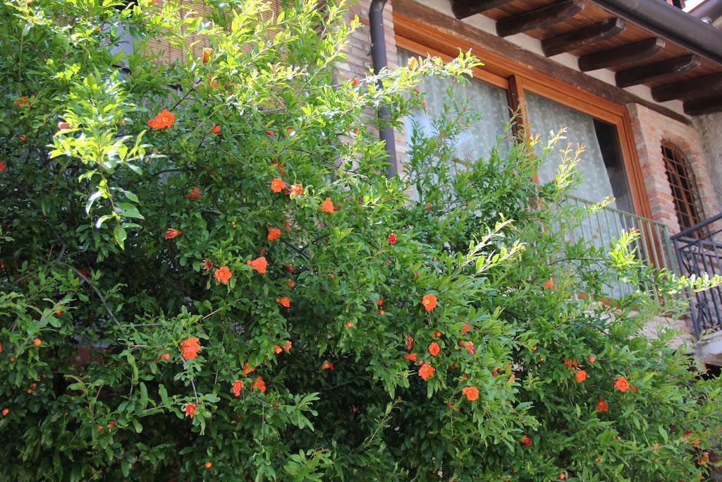 B&B Il Melograno Del Garda Padenghe sul Garda Exterior foto